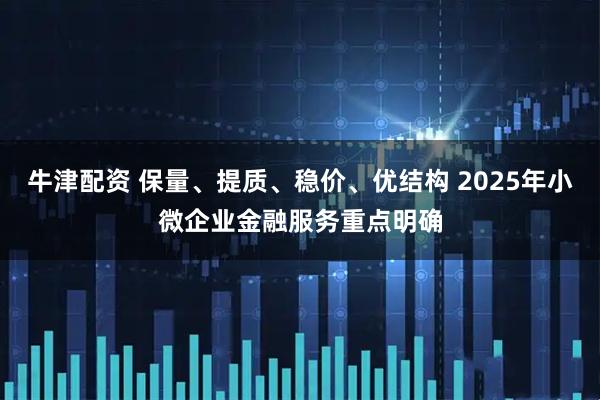 牛津配资 保量、提质、稳价、优结构 2025年小微企业金融服务重点明确