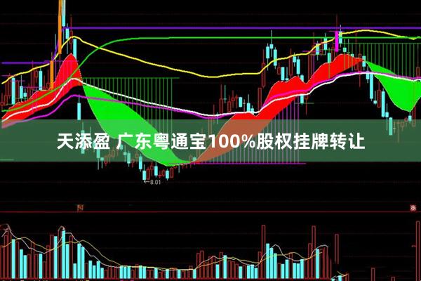 天添盈 广东粤通宝100%股权挂牌转让