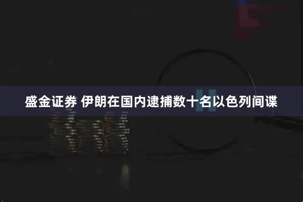 盛金证券 伊朗在国内逮捕数十名以色列间谍