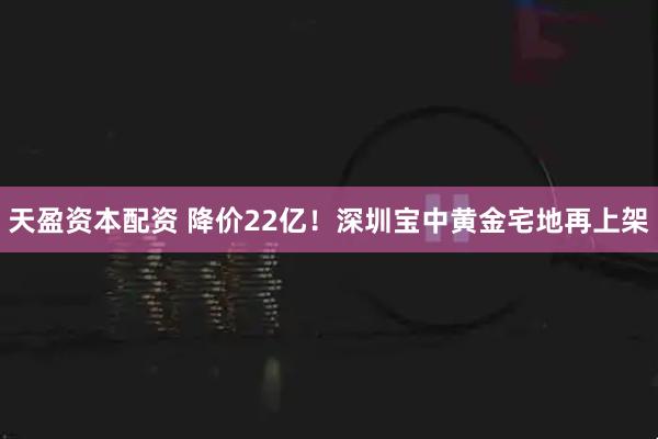 天盈资本配资 降价22亿！深圳宝中黄金宅地再上架