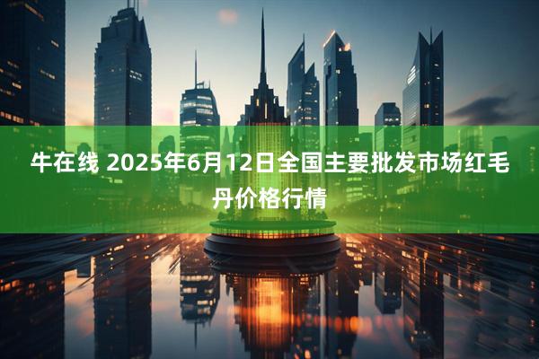 牛在线 2025年6月12日全国主要批发市场红毛丹价格行情
