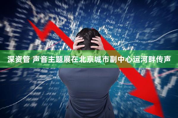 深资管 声音主题展在北京城市副中心运河畔传声