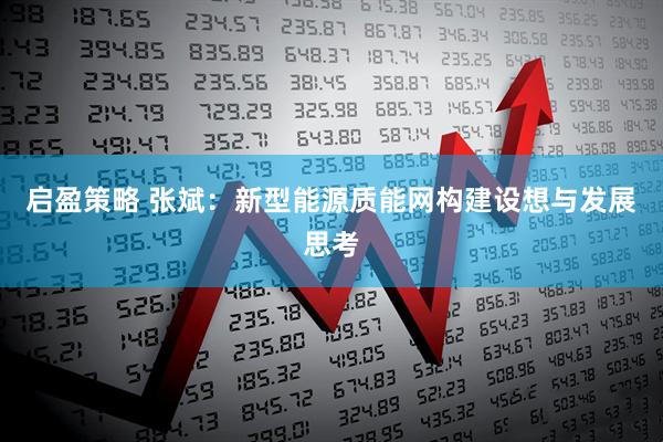 启盈策略 张斌：新型能源质能网构建设想与发展思考